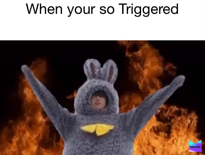 Meme shared by @littlecookie