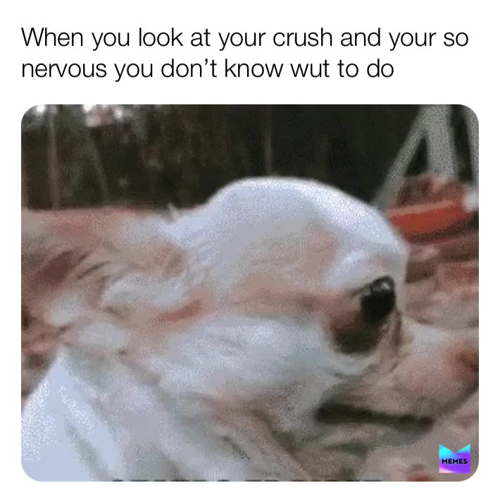 Meme shared by @littlecookie