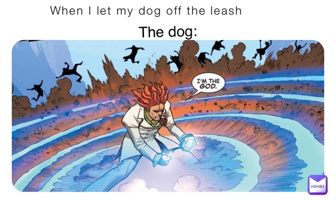 When I let my dog off the leash The dog MemeLordof69 Memes