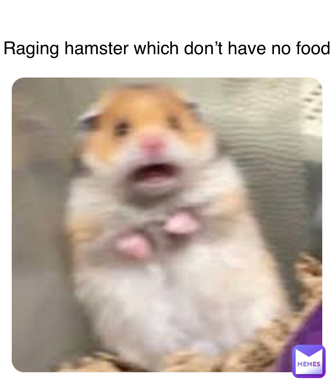 Raging hamster which don’t have no food