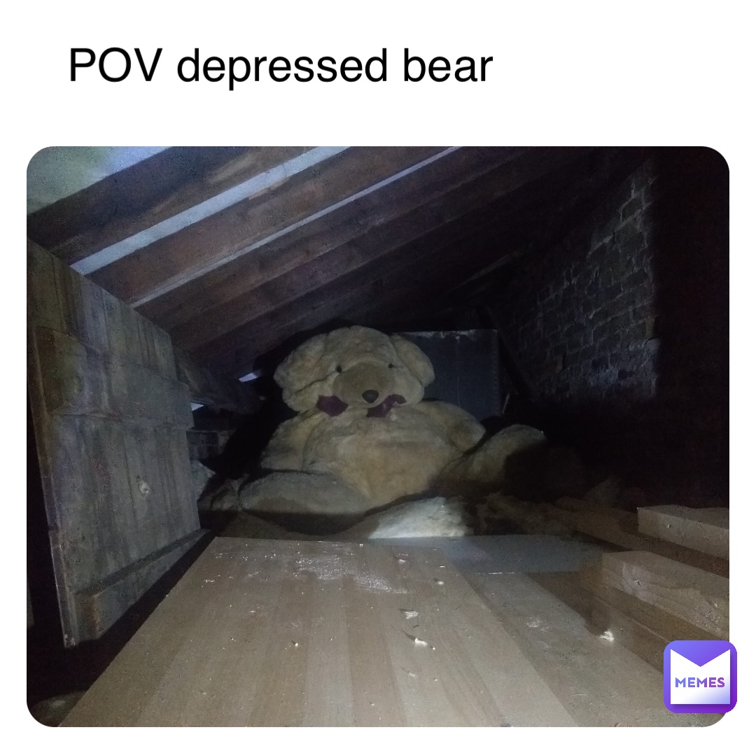 POV depressed bear