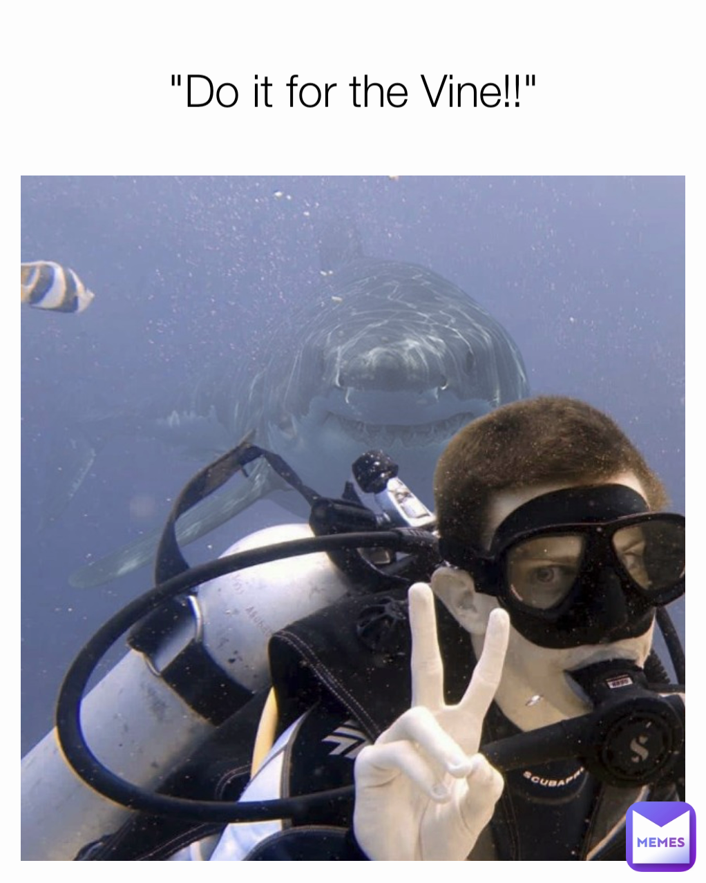 "Do it for the Vine!!"