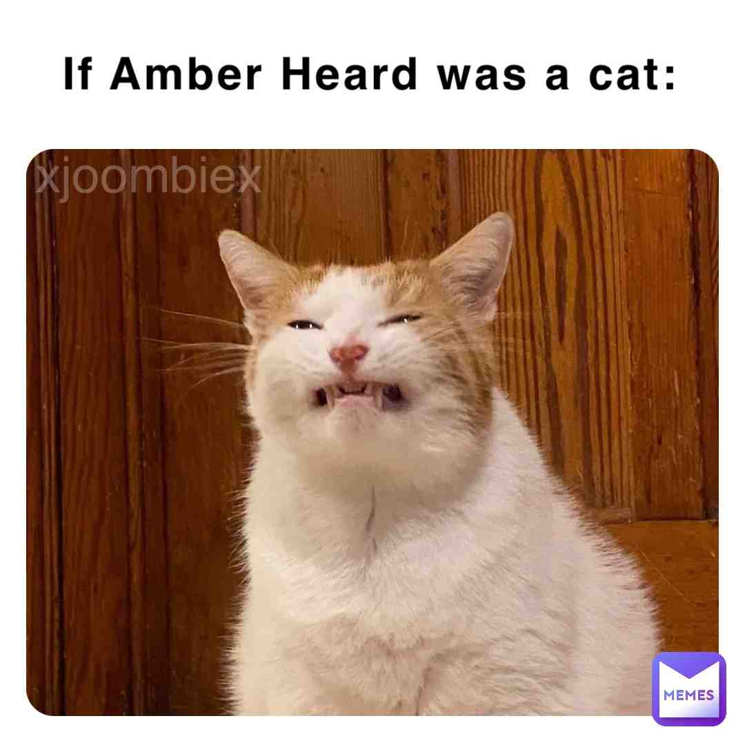 #amberheard #cat #meow #funny #meme