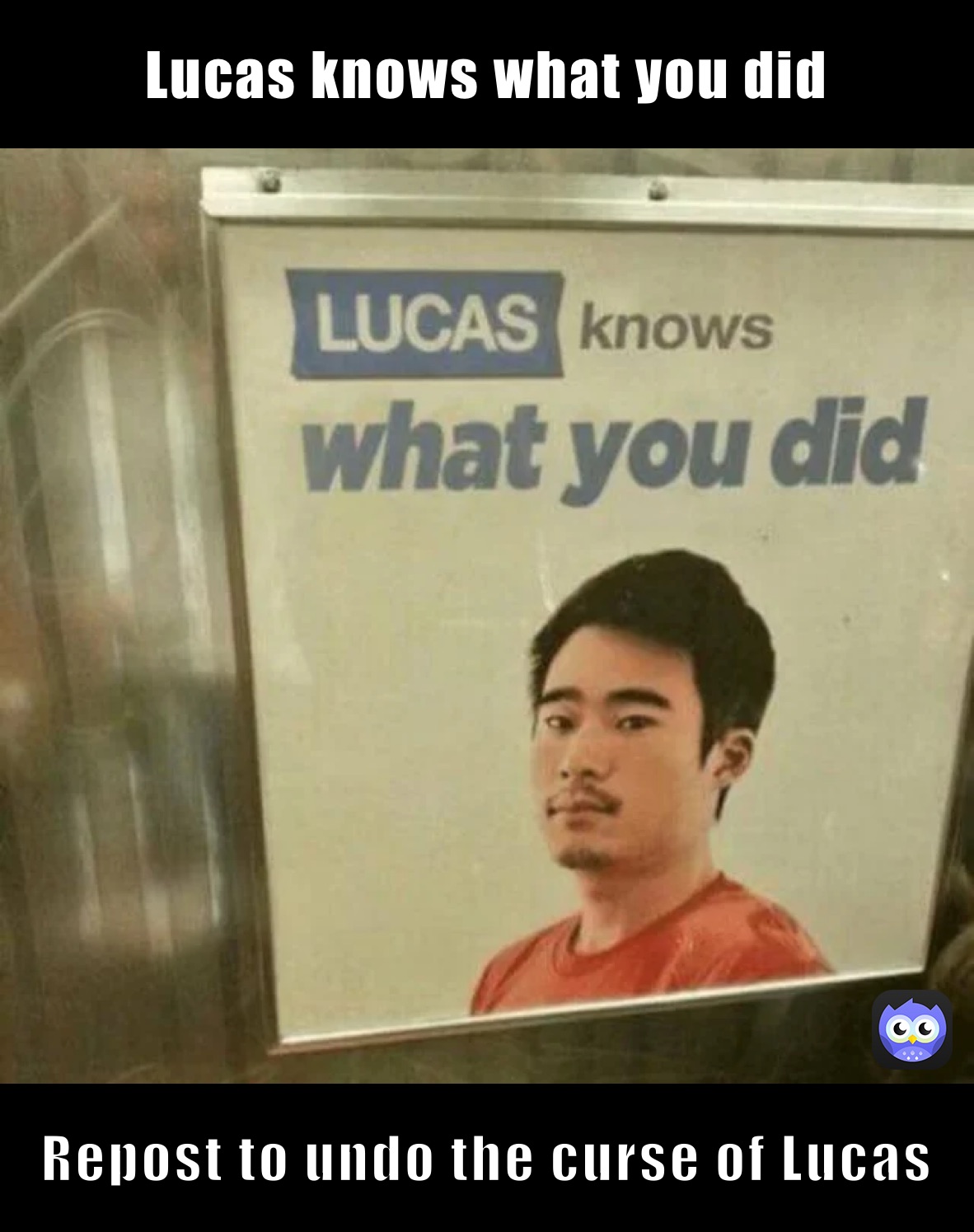 Lucas knows what you did Repost to undo the curse of Lucas