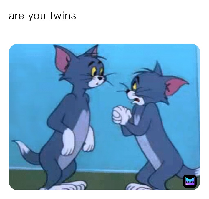 are you twins
