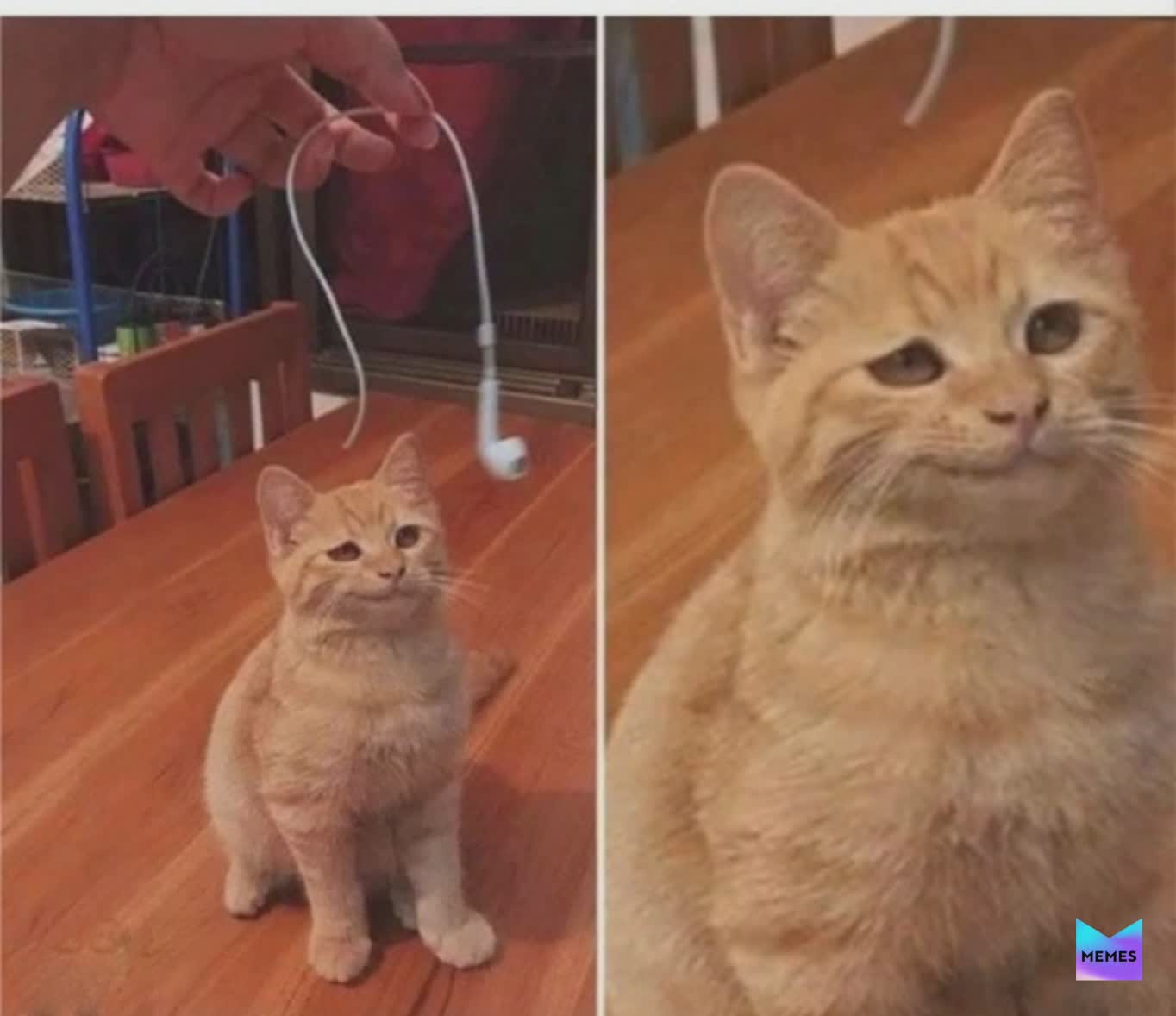 Meme by Minato.Namikaze