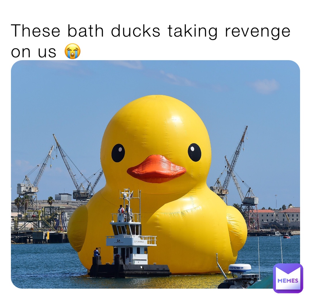 These bath ducks taking revenge on us 😭