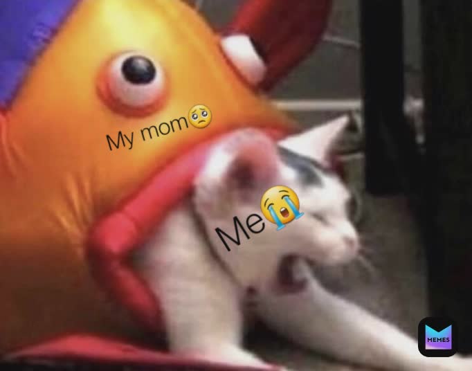 Meme by maisha_yeashfa