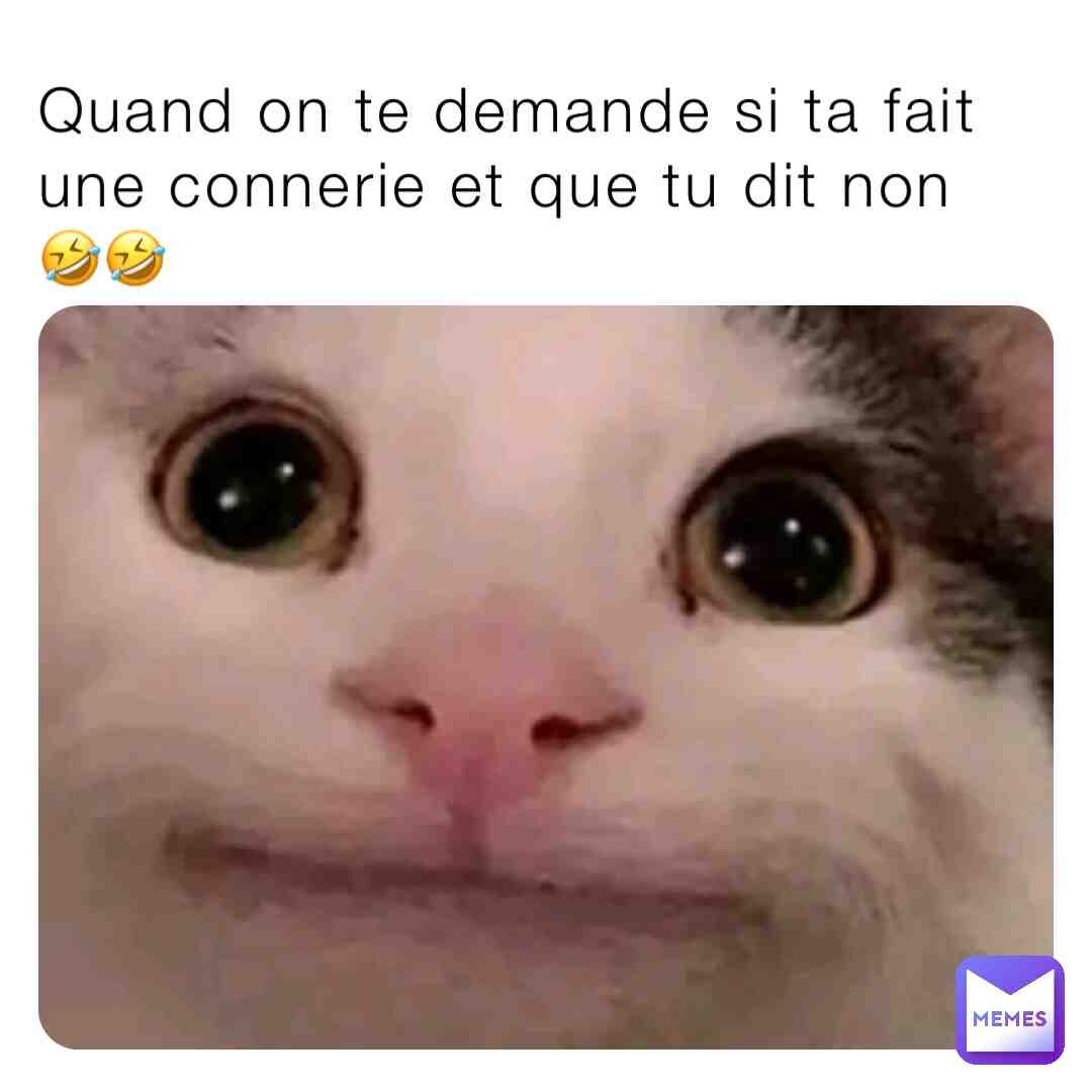Meme shared by @Lizea
