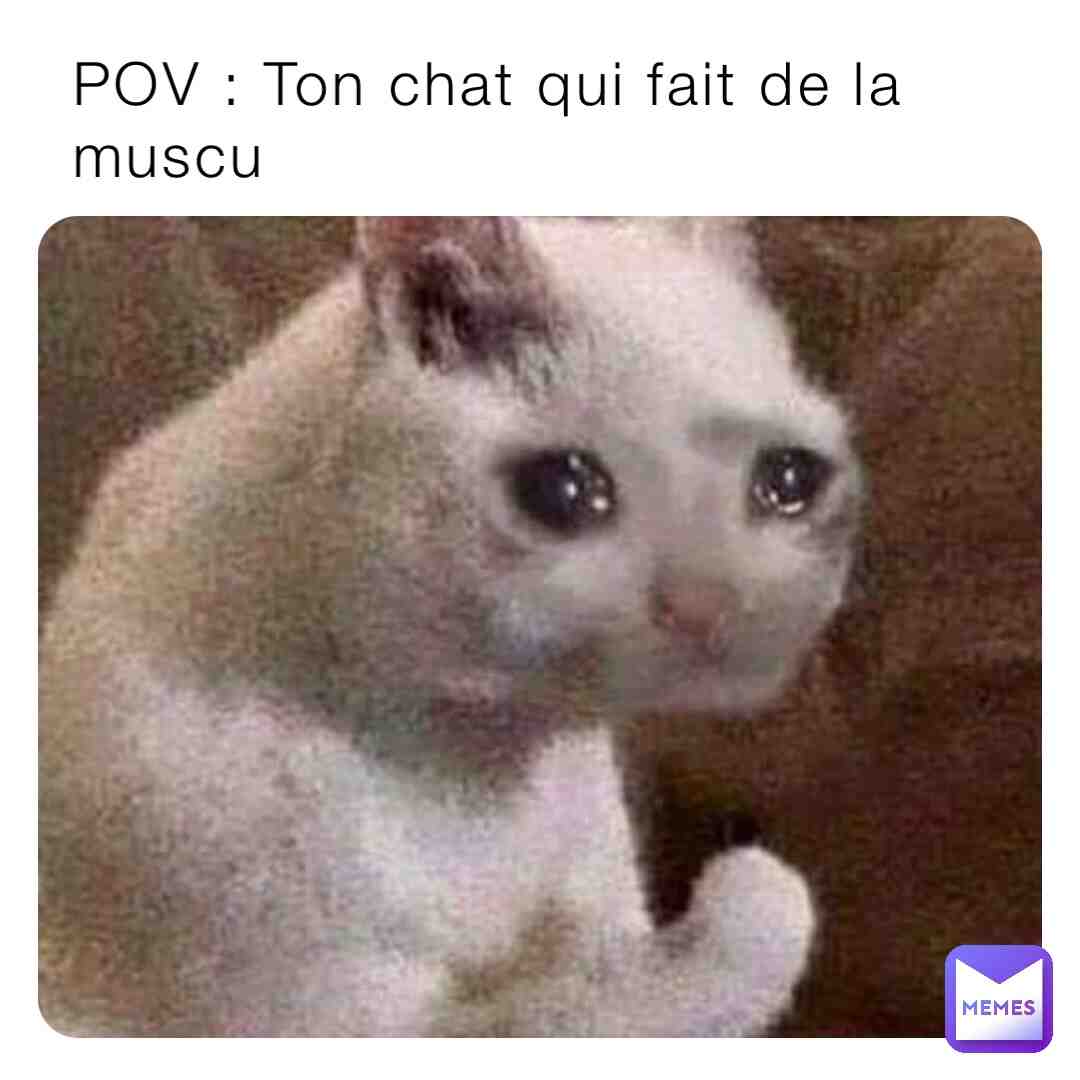 Meme shared by @Lizea