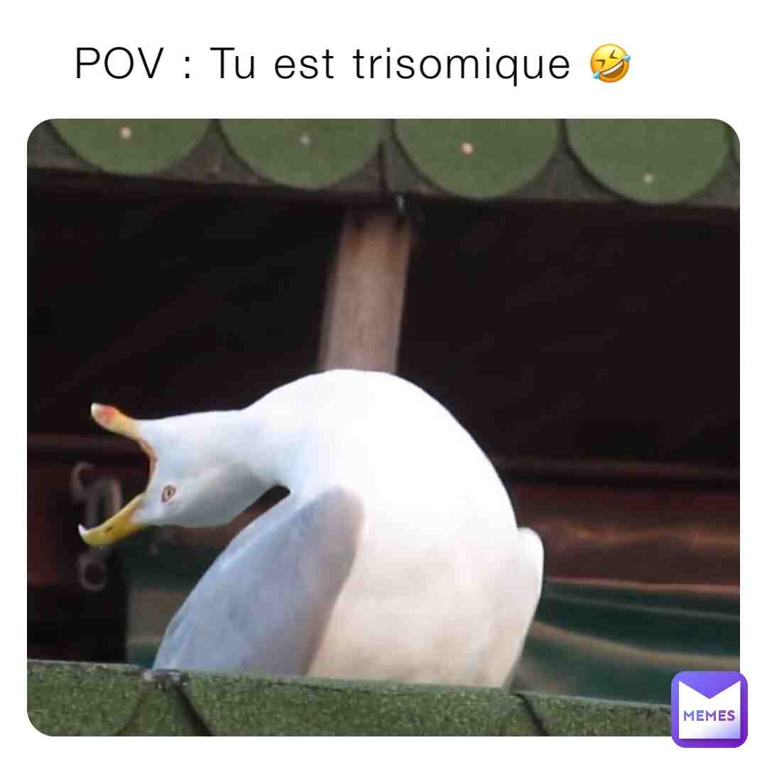Meme shared by @Lizea