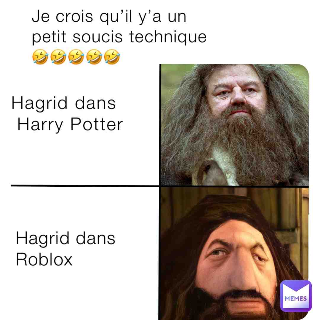 Meme shared by @Lizea