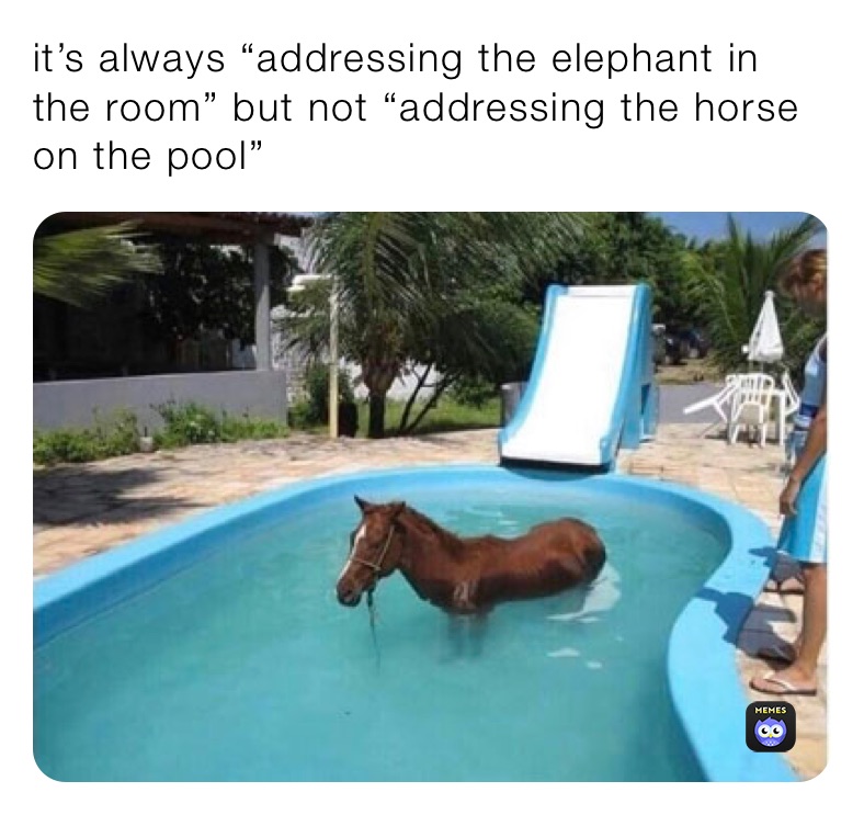 it’s always “addressing the elephant in the room” but not “addressing the horse on the pool”