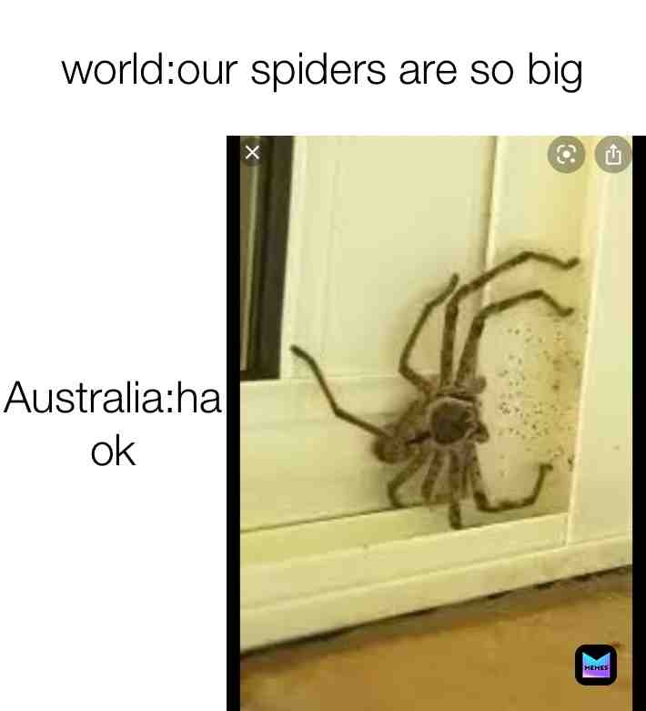 Australians will laugh