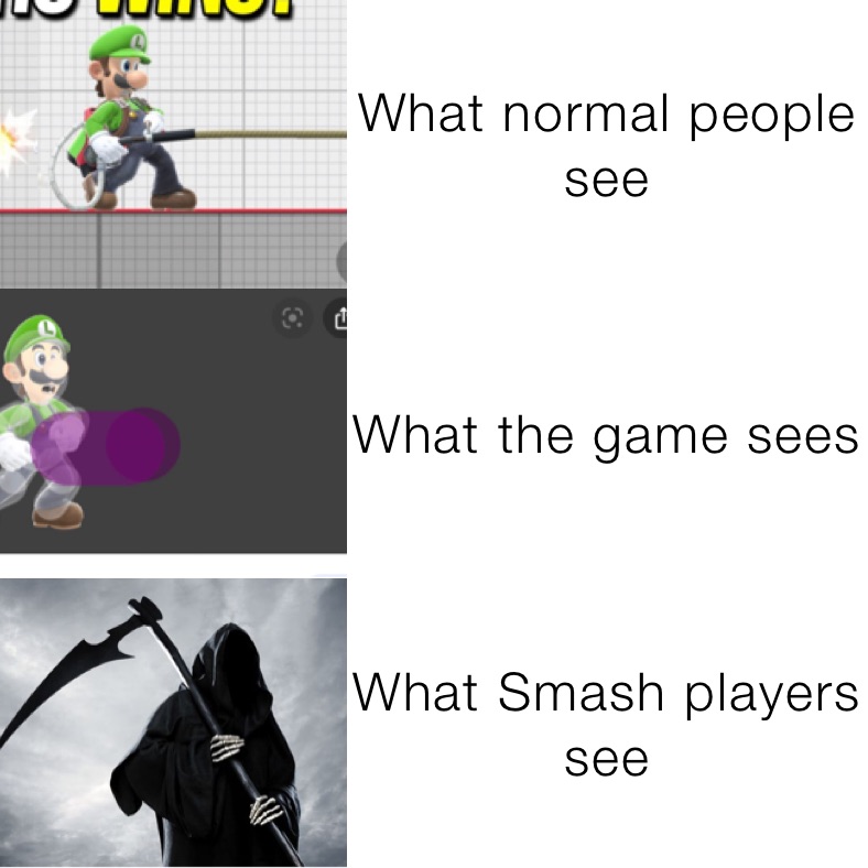 What normal people see What the game sees What Smash players see