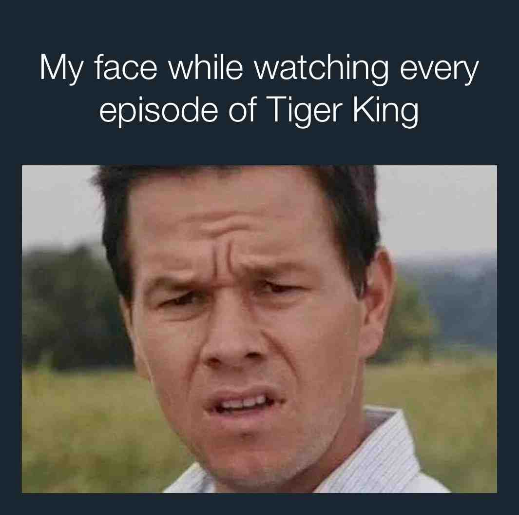 #memesdaily #memes #memesapp #meme #Netflix #tigerking