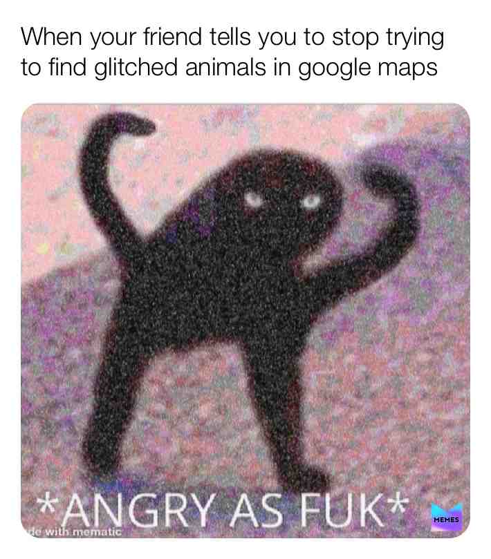 We can’t be friends anymore 😡😡  #catmemes  #googlefromnowon  #google  #friendship  #friendship  #friendship