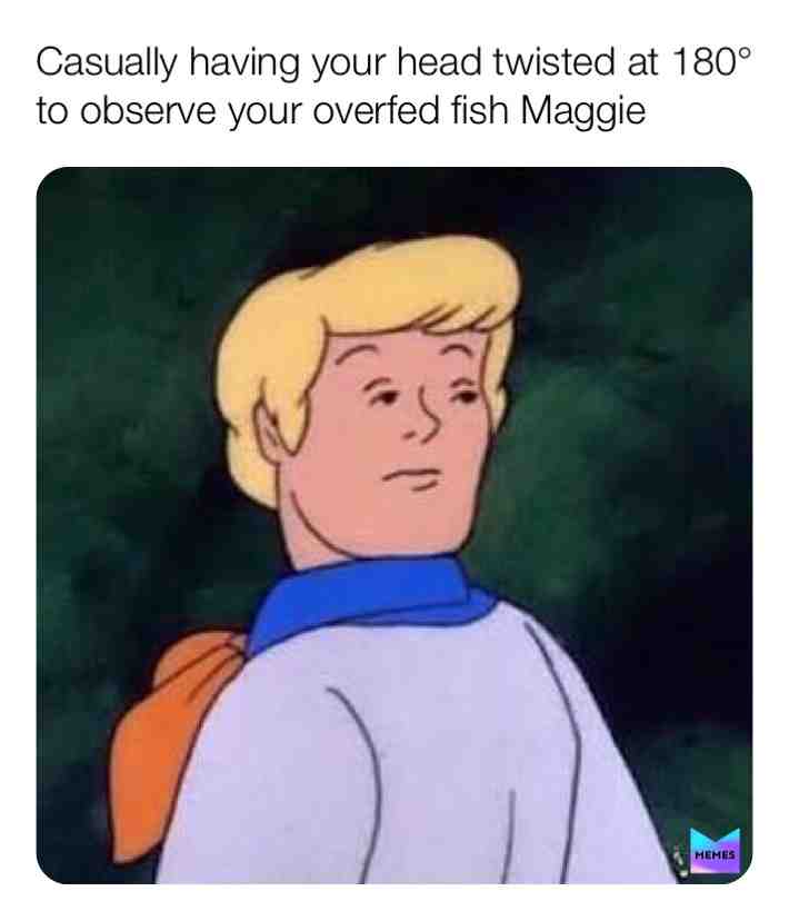 #fish  #Maggie  #180