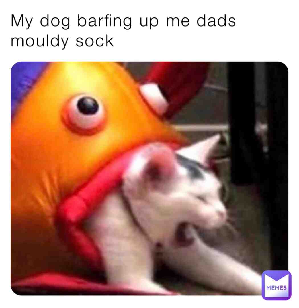 Meme shared by @sockysnail