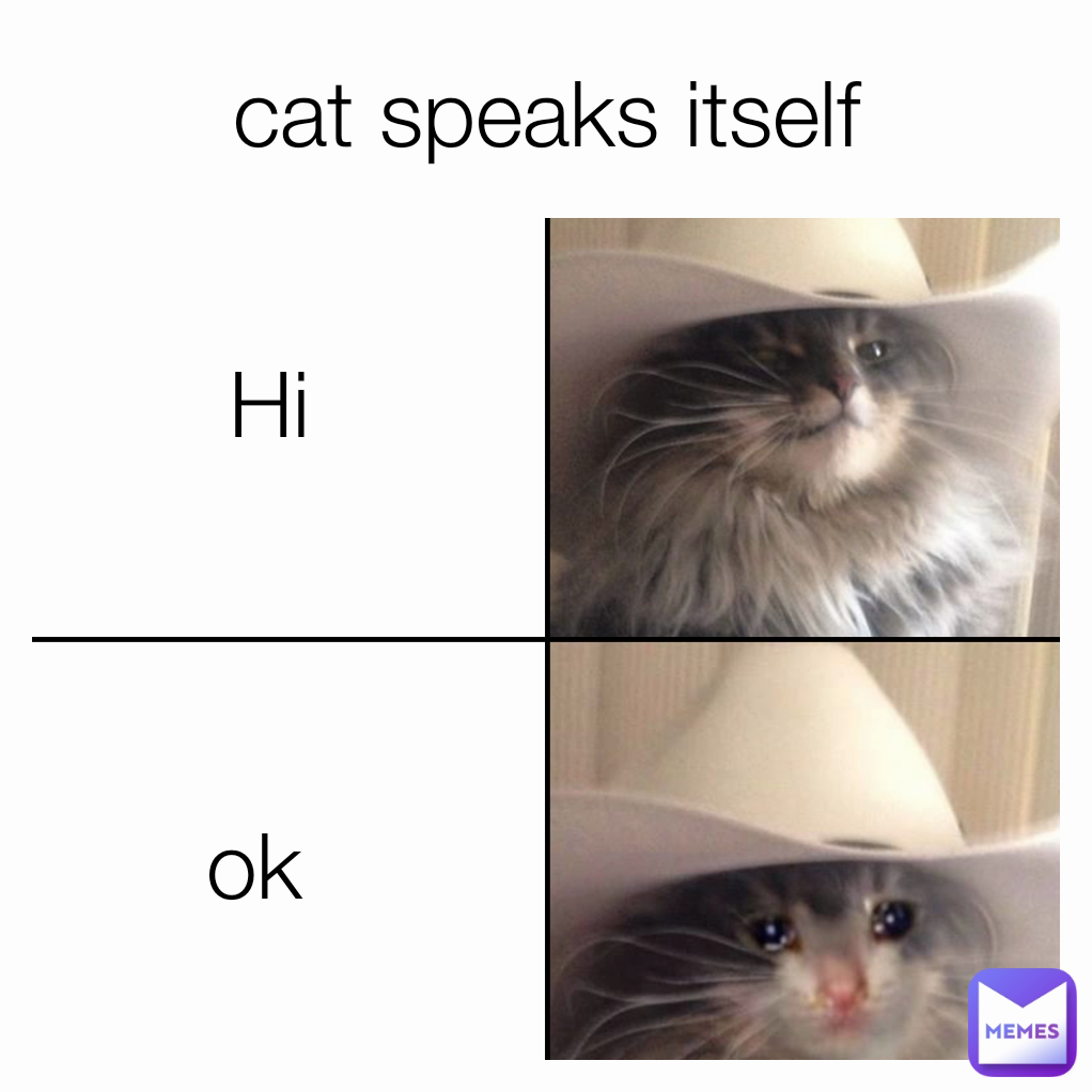 cat speaks itself ok Hi