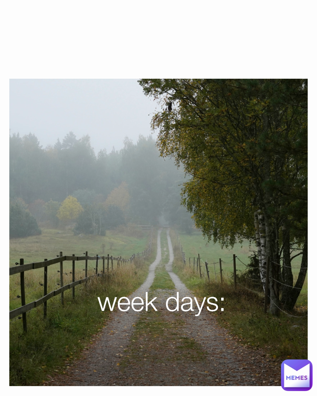 week days: