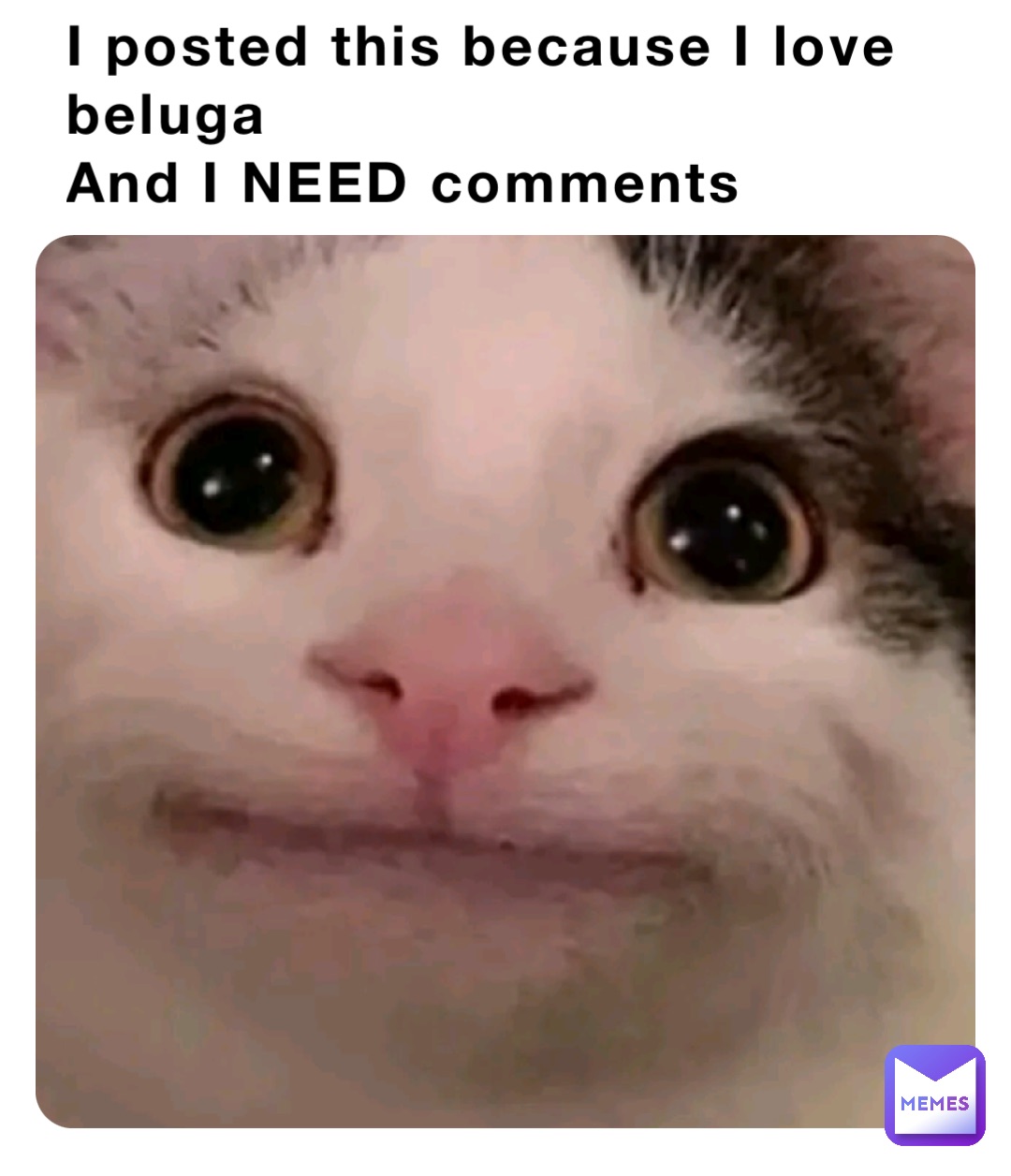 I posted this because I love beluga
And I NEED comments