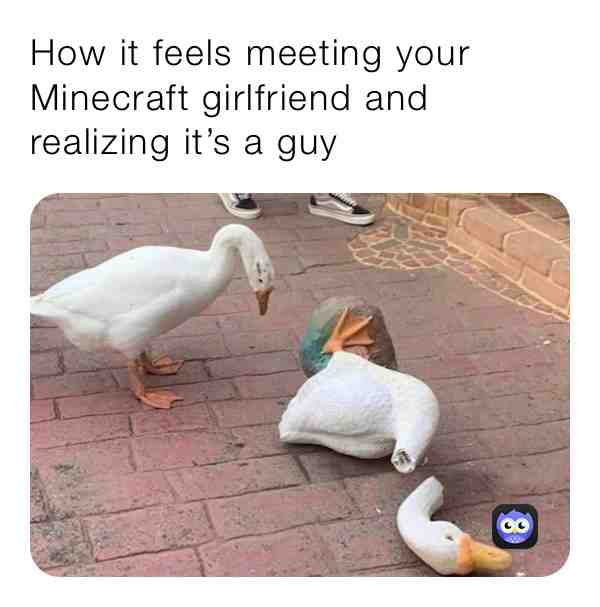 #meandtheboys #dumb #hermitcraft #amongus #gru #grucci