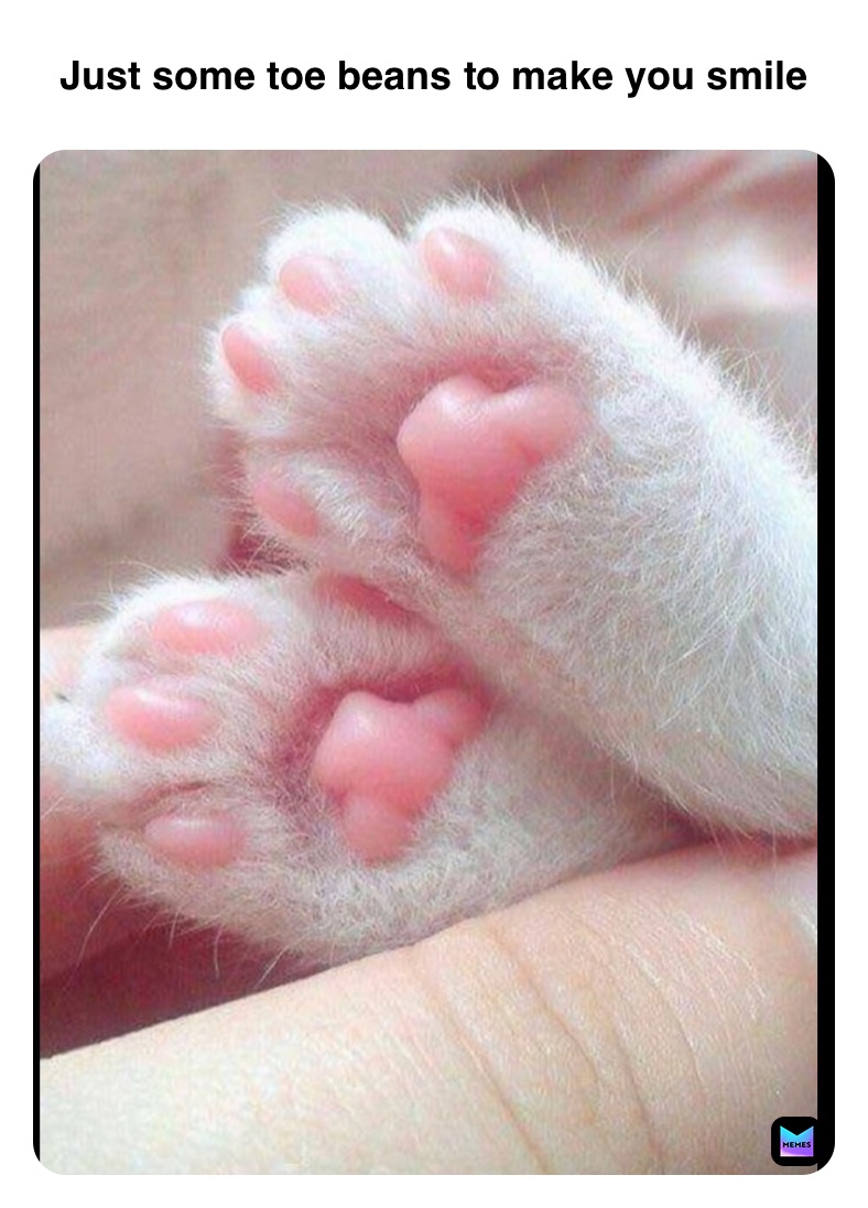 Meme by michaelshane.johnson