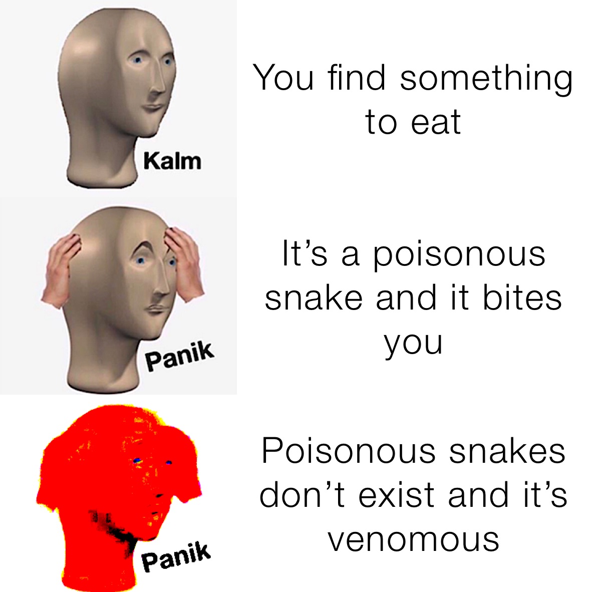 You find something to eat It’s a poisonous snake and it bites you Poisonous snakes don’t exist and it’s venomous