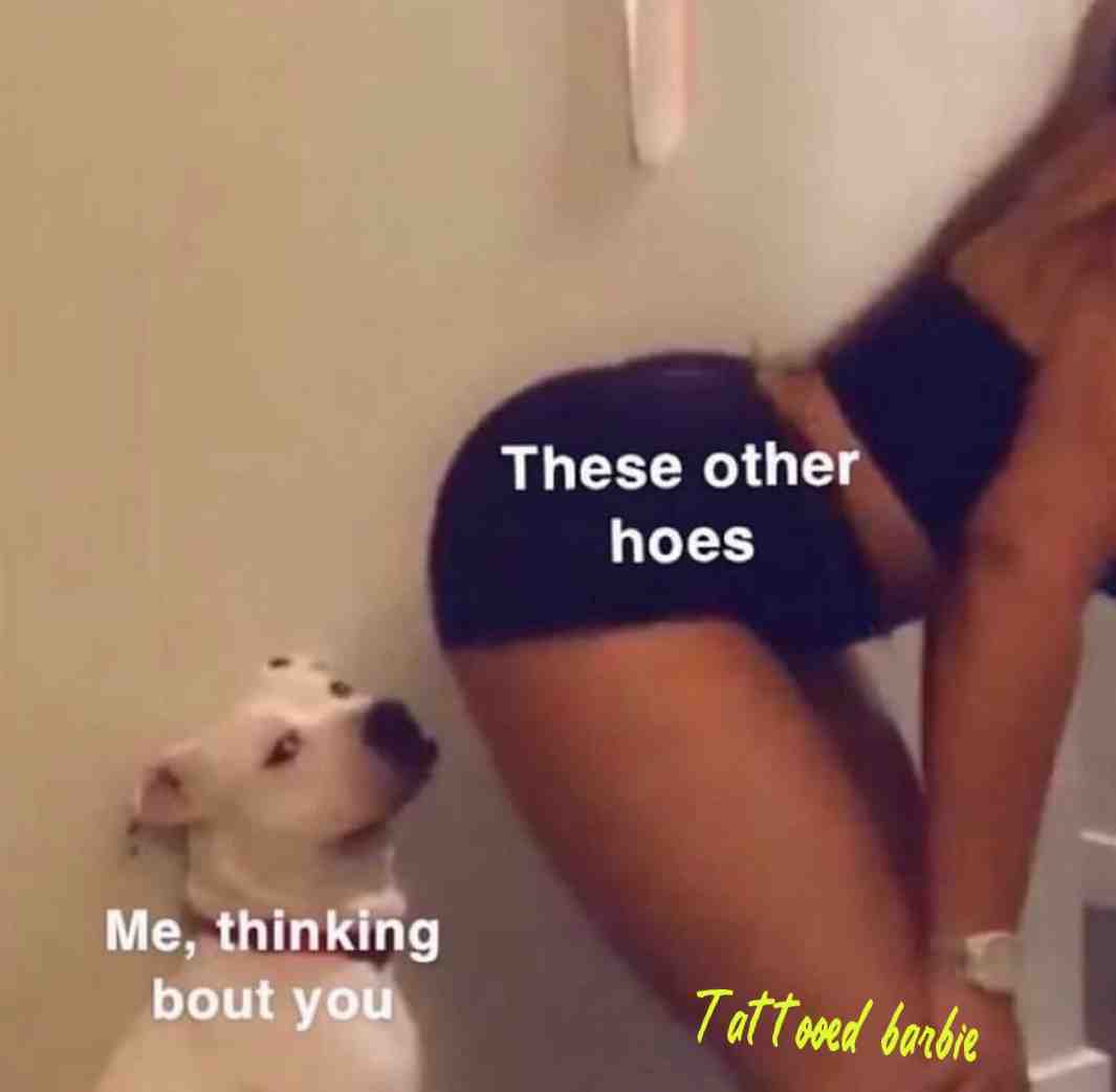 #memes #memesdaily #memestagram #meme #memer #funny #memepage #rudememes #rudehumor