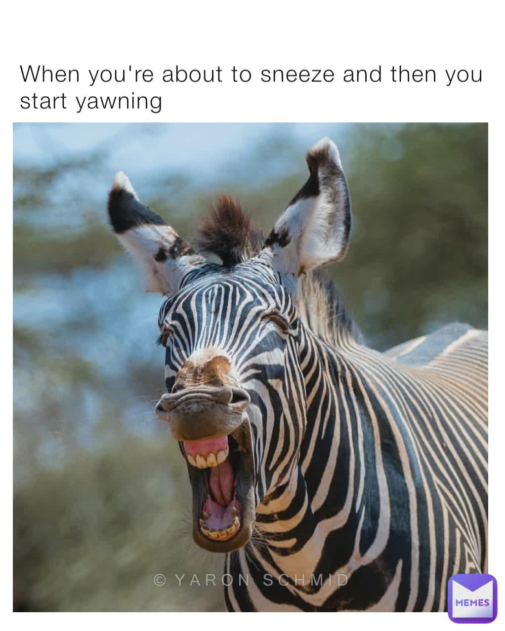 When you're about to sneeze and then you start yawning 