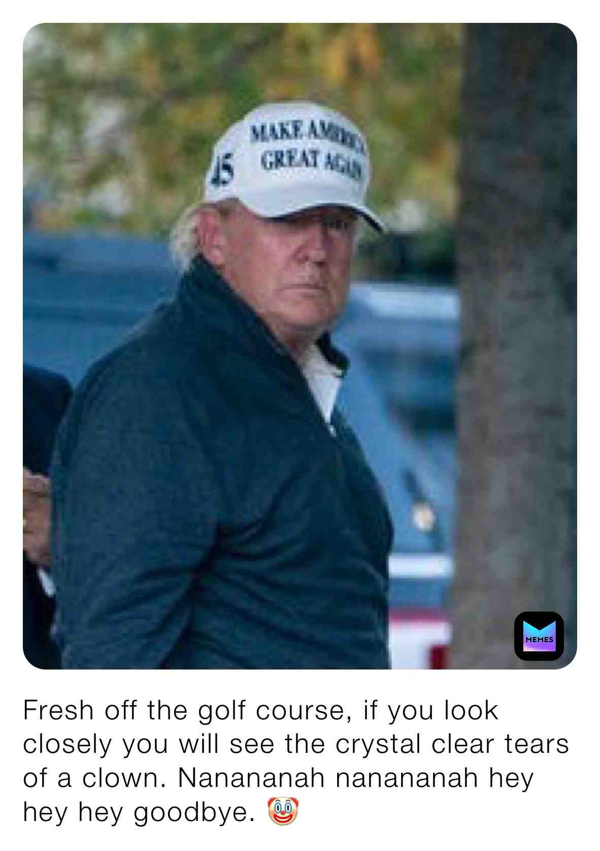  #dumptrump #clown #lockhimup #tinyhands