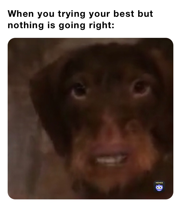 When you trying your best but nothing is going right: 