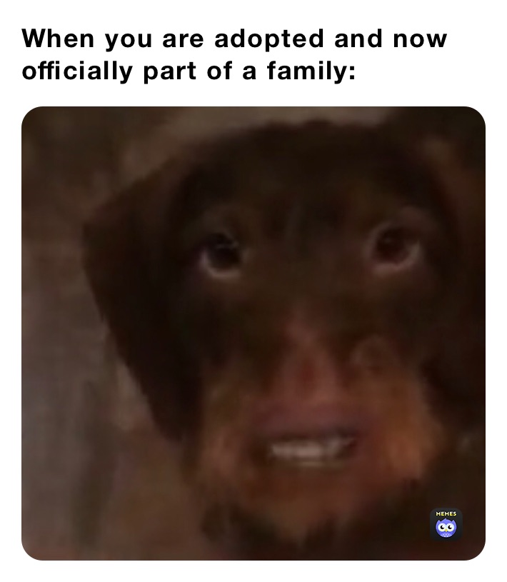 Meme by WillyDiCaprio_bruh