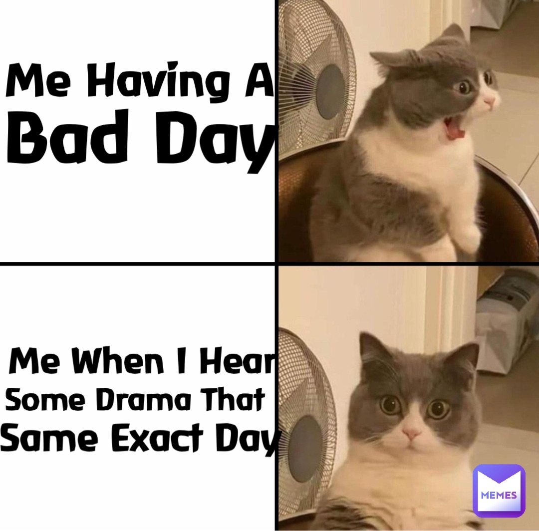 bad day cat meme