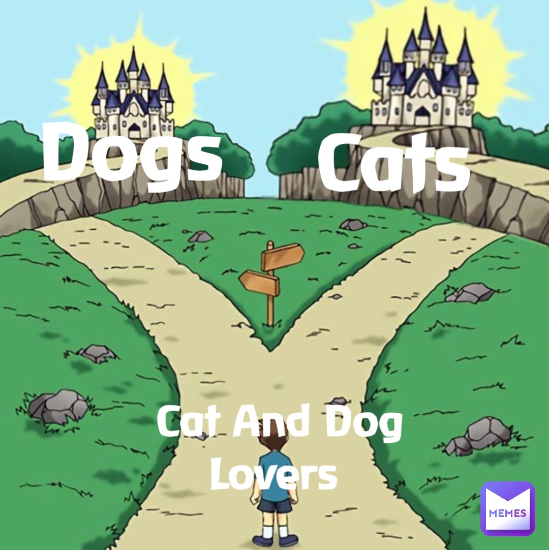 Cats Dogs Cat And Dog Lovers