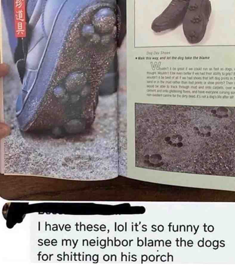 Haha wait what