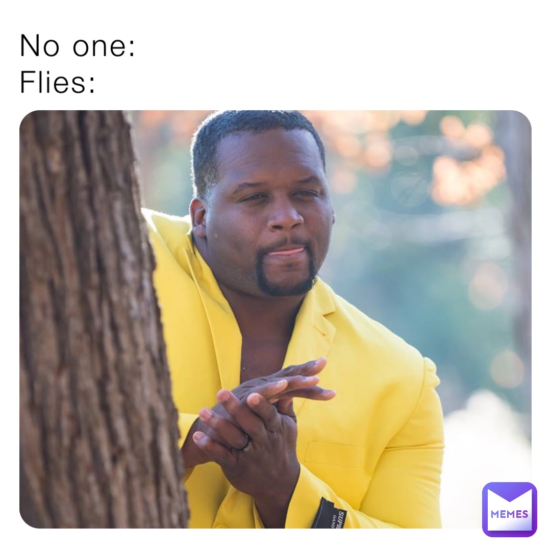 No one:
Flies: