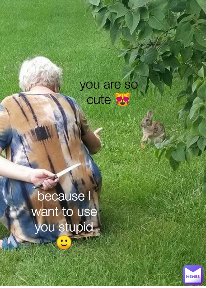 because I want to use you stupid 🙂 you are so cute 😻