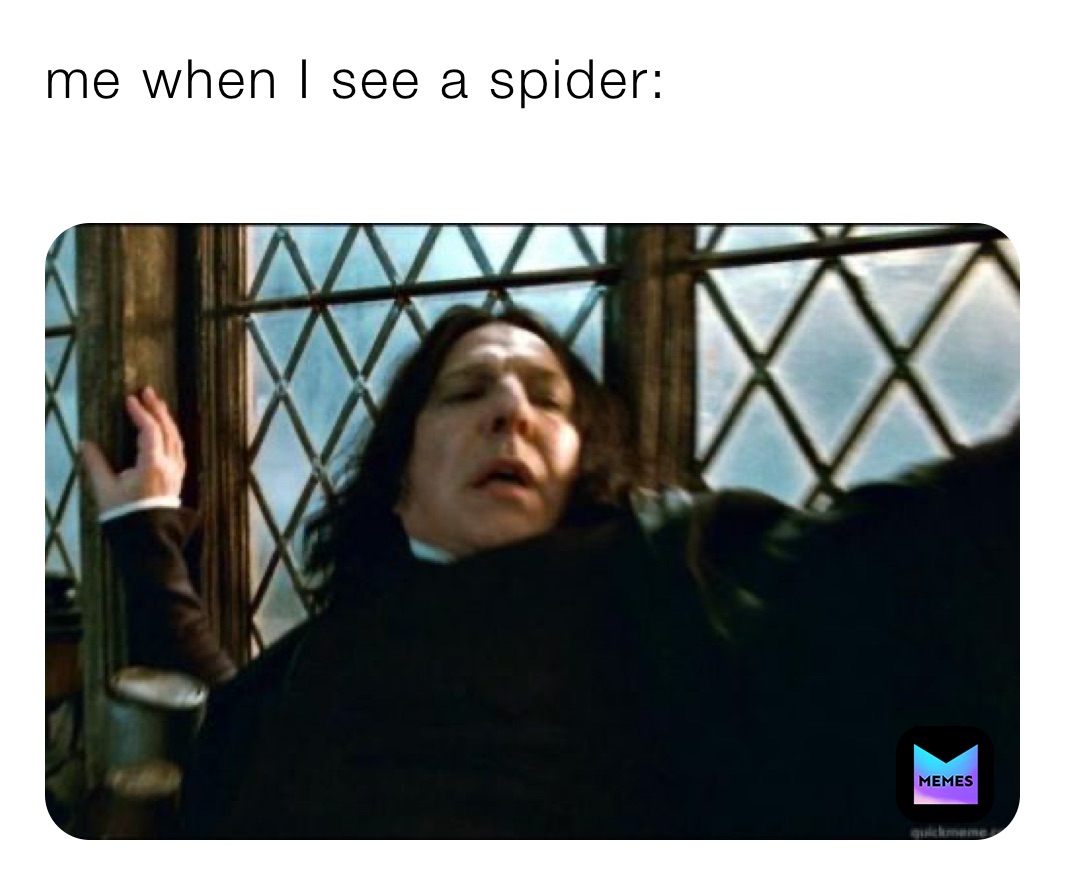 me when I see a spider:
