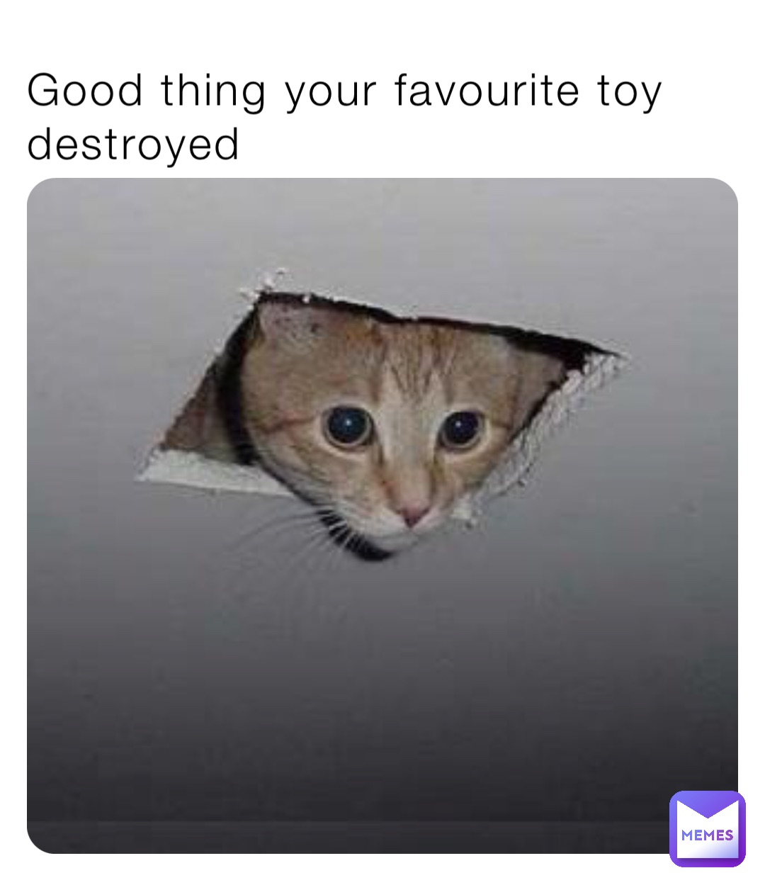 Good thing your favourite toy destroyed