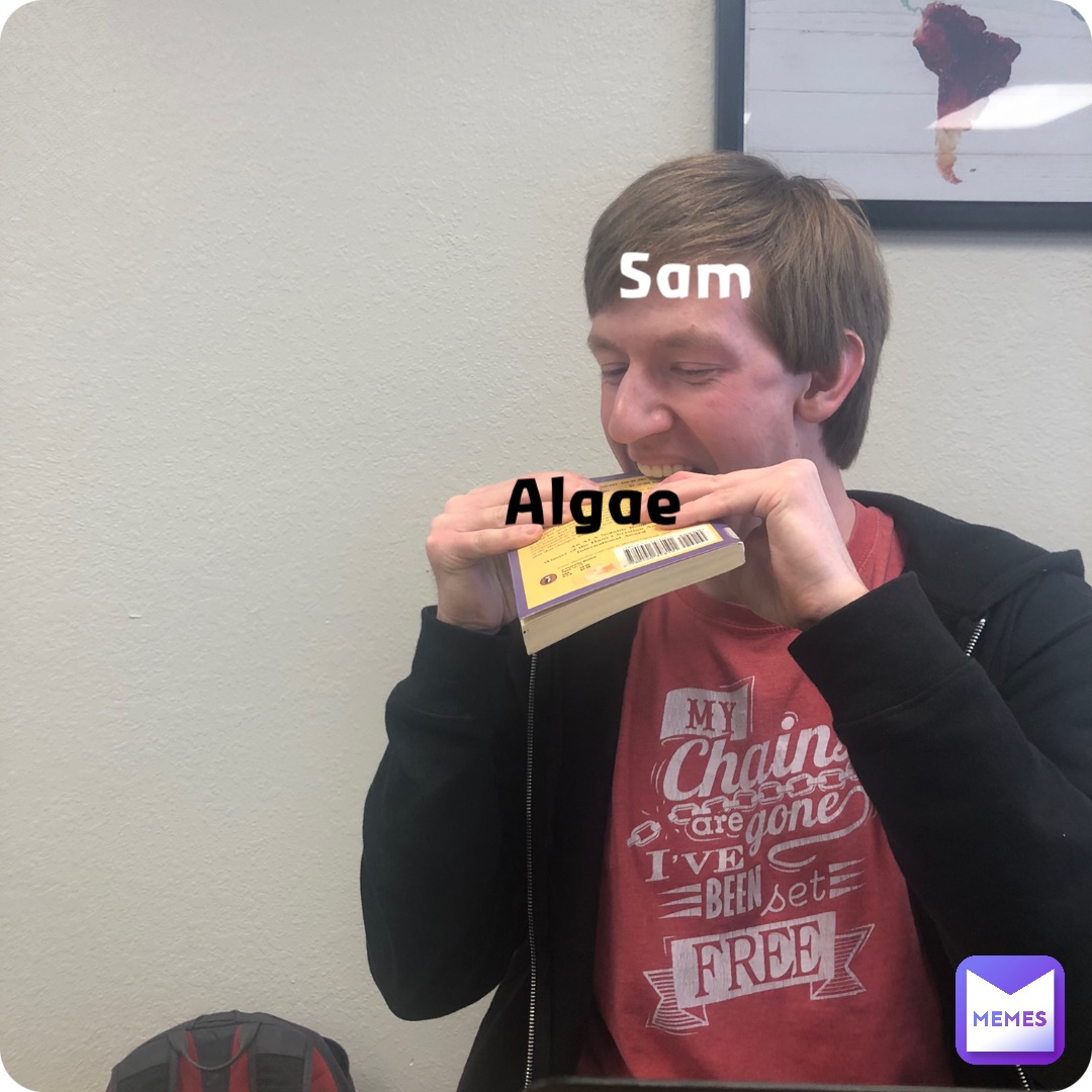Sam Algae