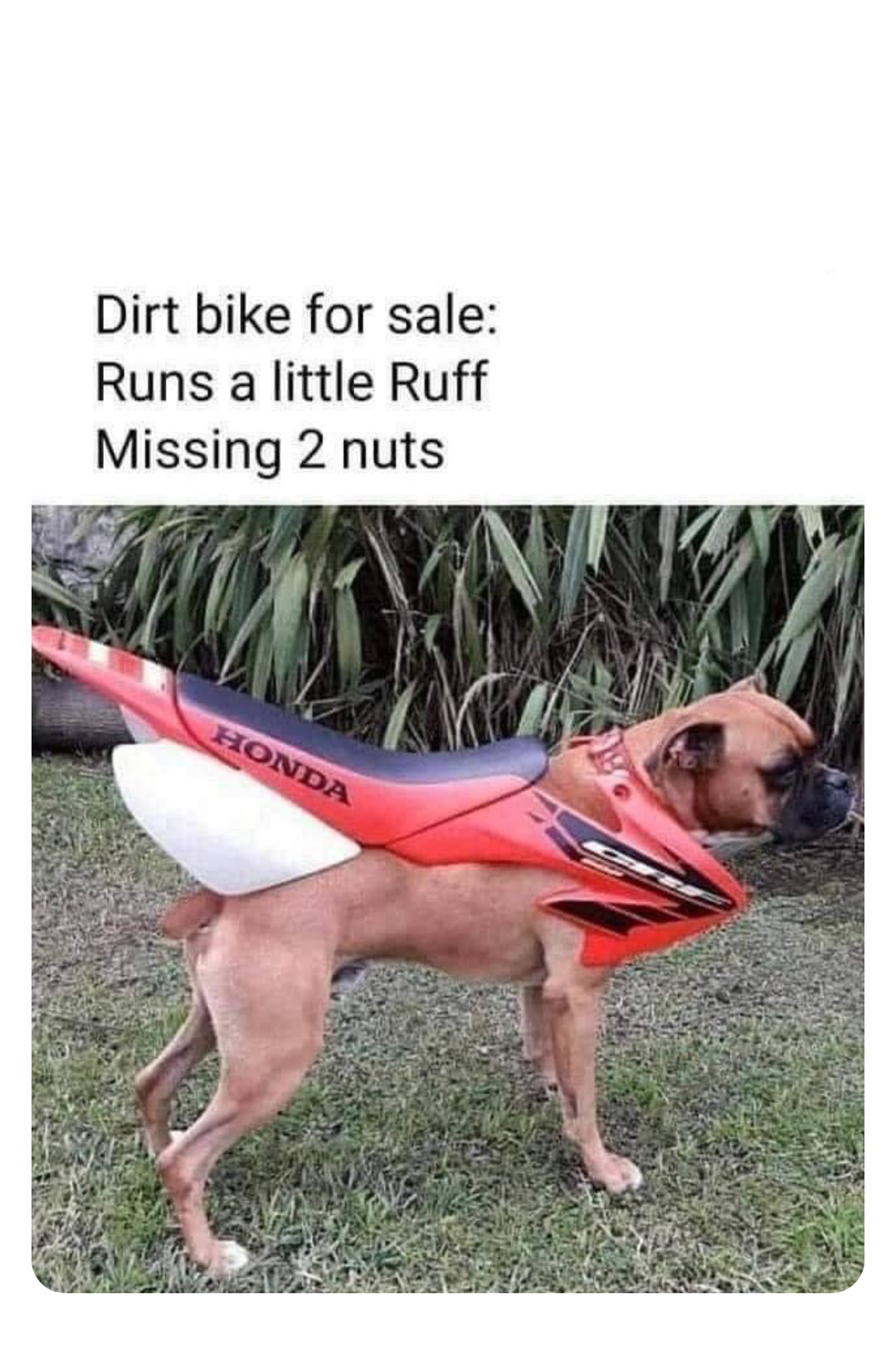 Double tap to edit