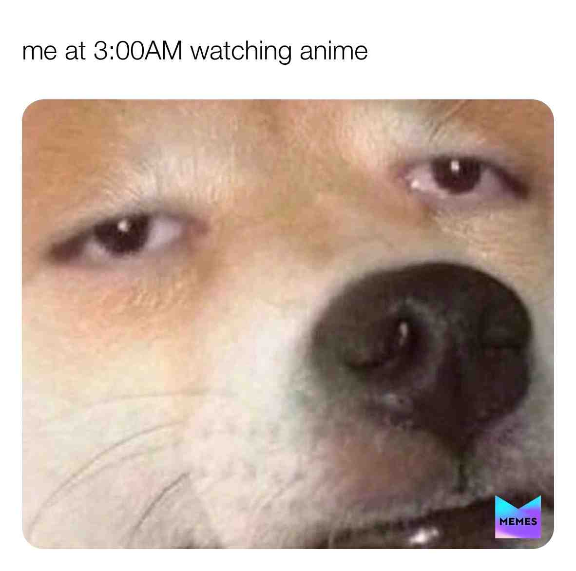 Meme shared by @Anime_4_Lif3