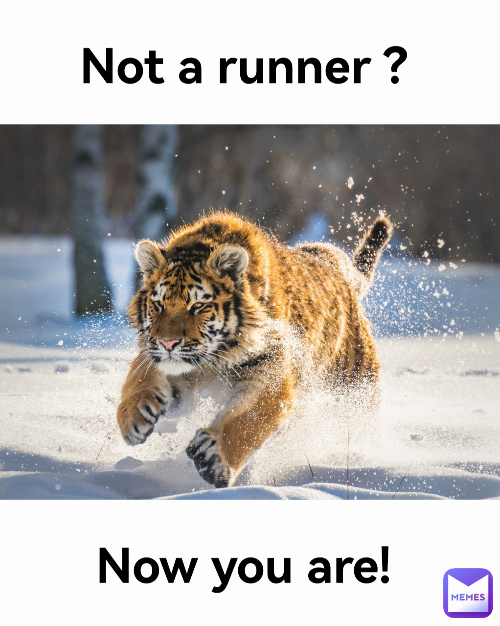 Now you are!  Not a runner ? 