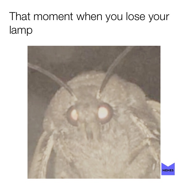 Meme by moth_mane69