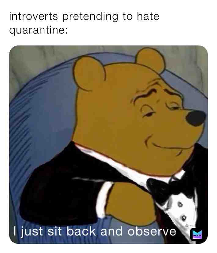 Meme shared by @ultimate_dxmbxss