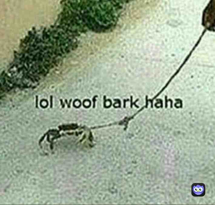 Meme shared by @ultimate_dxmbxss