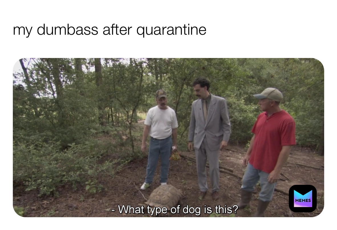 Meme by itsyourboicheeo