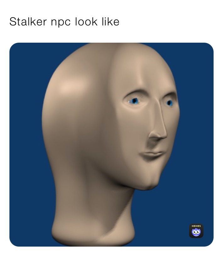 Stalker npc look loke